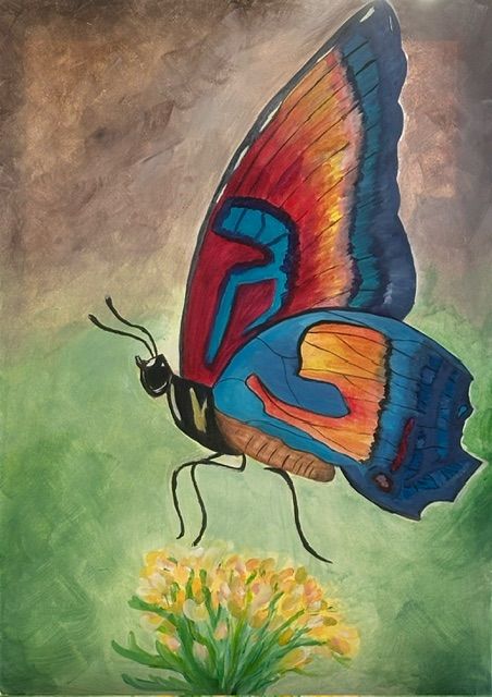 Vlinder geschilderd met acrylverf op schilderdoek van 50 x 70 cm