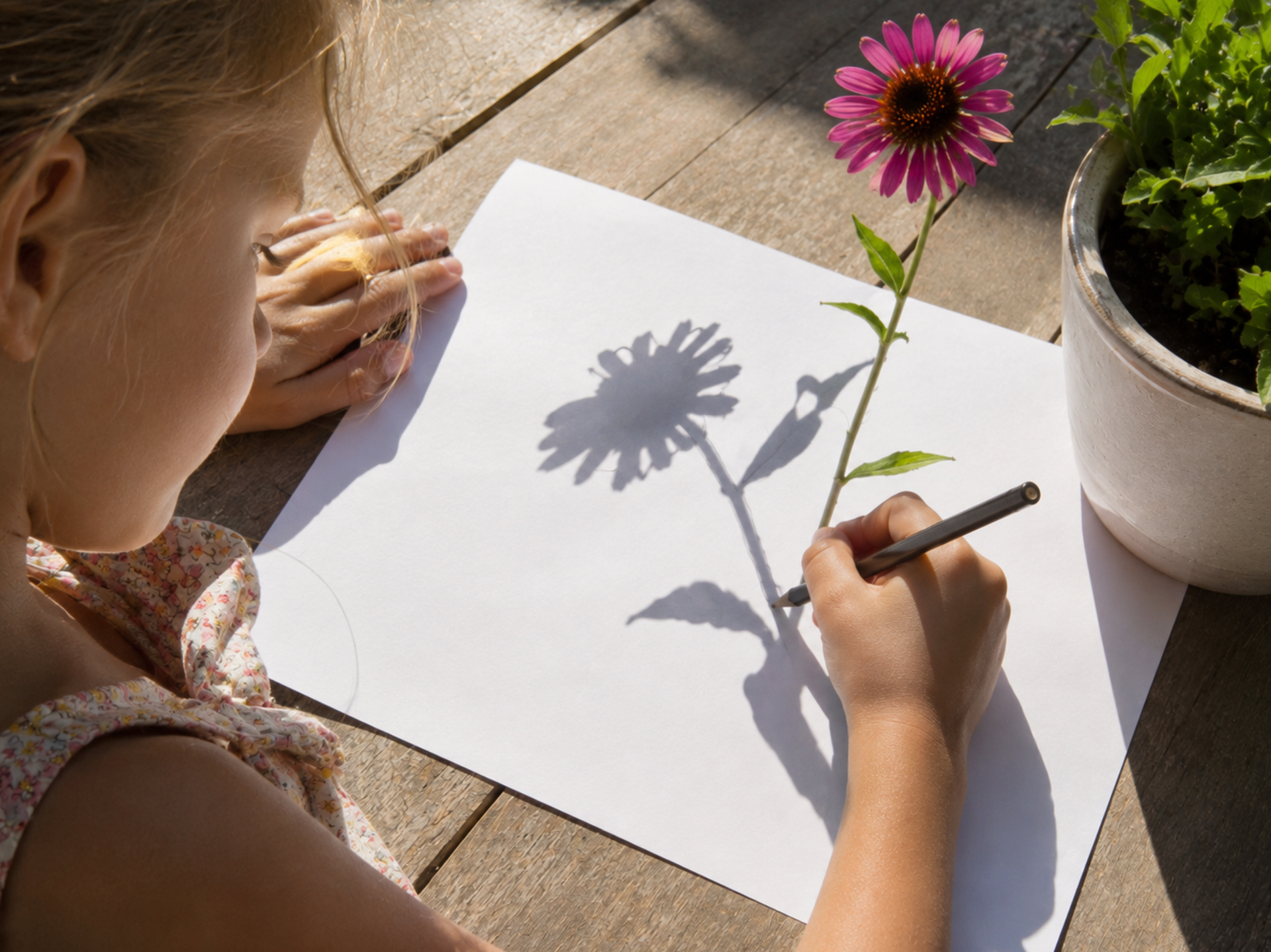 tekenen met schaduw met de kinderen