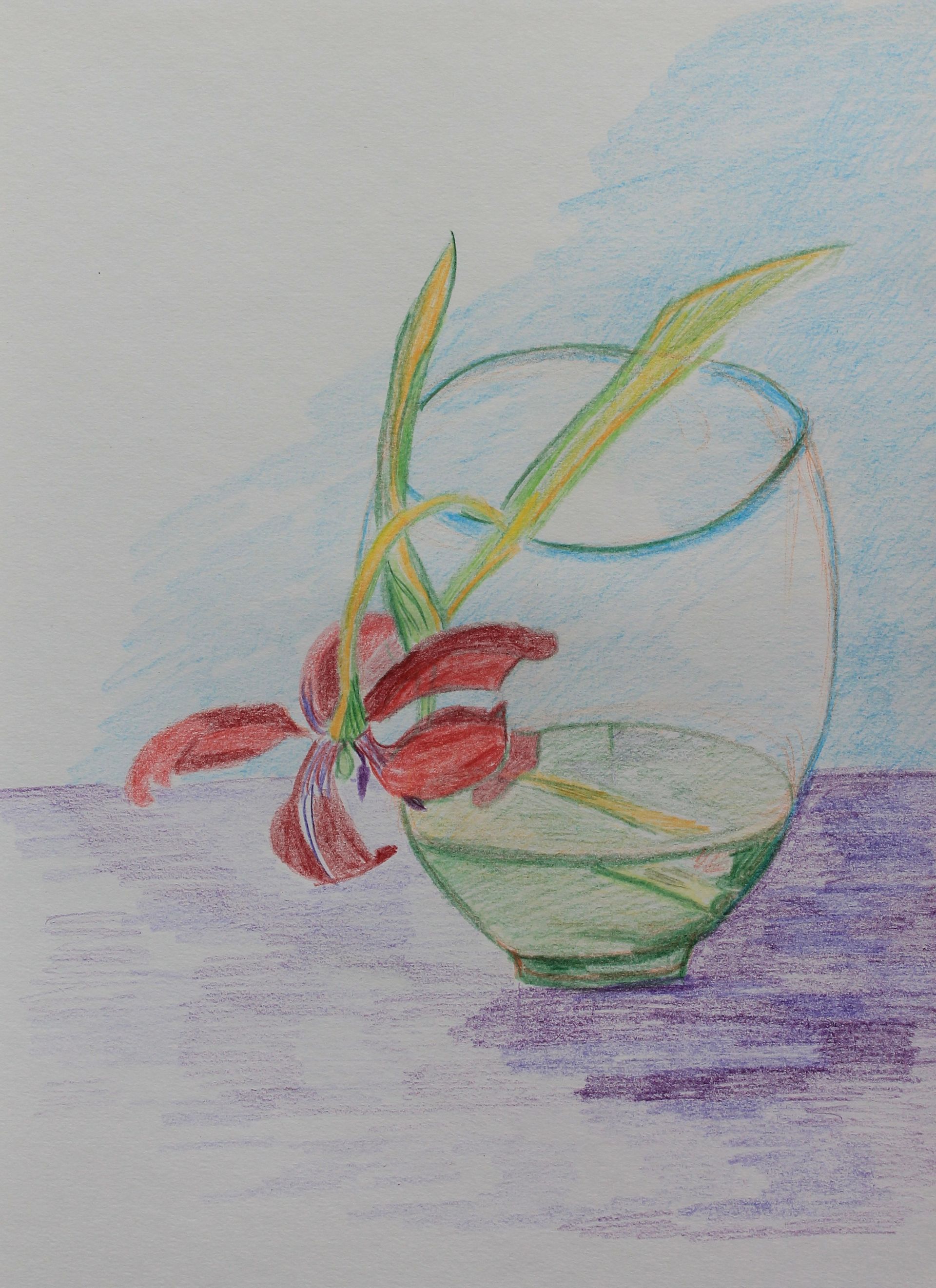 tulp in de vaas tekenen