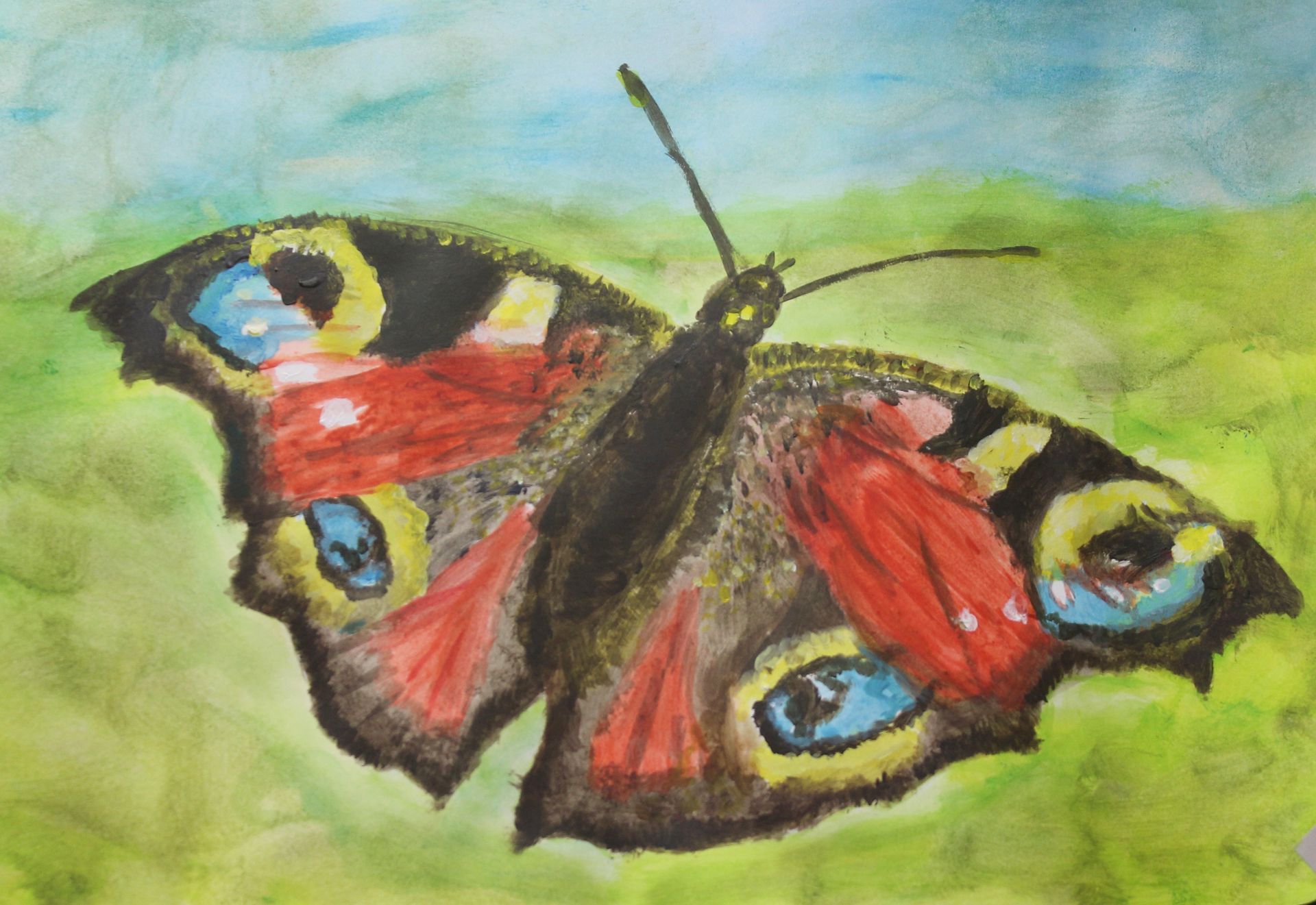 Een schilderij van een vlinder met blauwe ogen