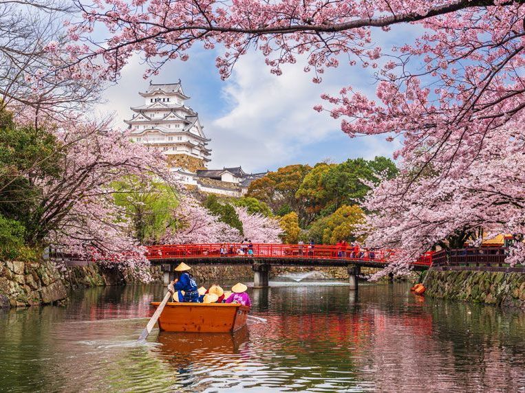 Castillo de Himeji, Japón, con cerezos en flor. Un barco rema bajo un puente rojo.