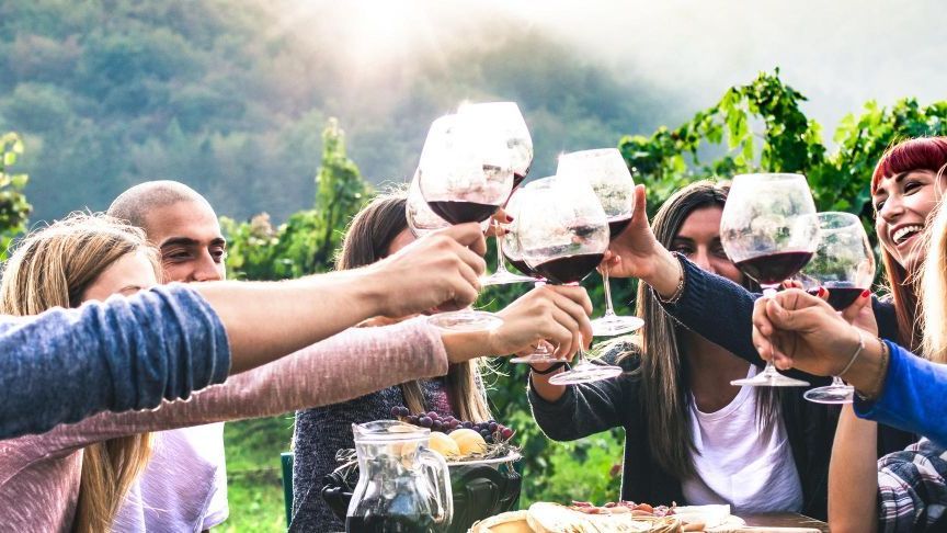 Amigos chocando copas de vino tinto en un viñedo, celebrando al aire libre con un fondo soleado.