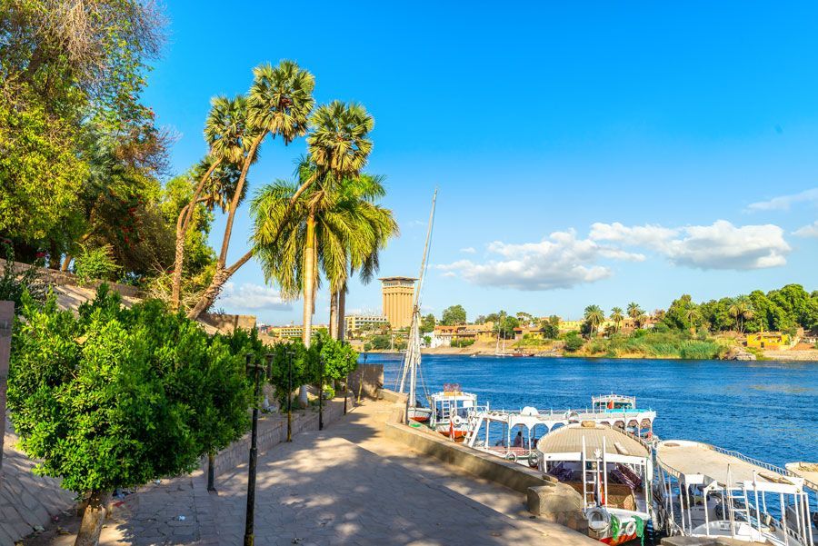 Frondosos árboles verdes bordean un sendero junto a un río en Egipto, con barcos atracados en las aguas azules. Un cielo azul brillante y palmeras a la vista.