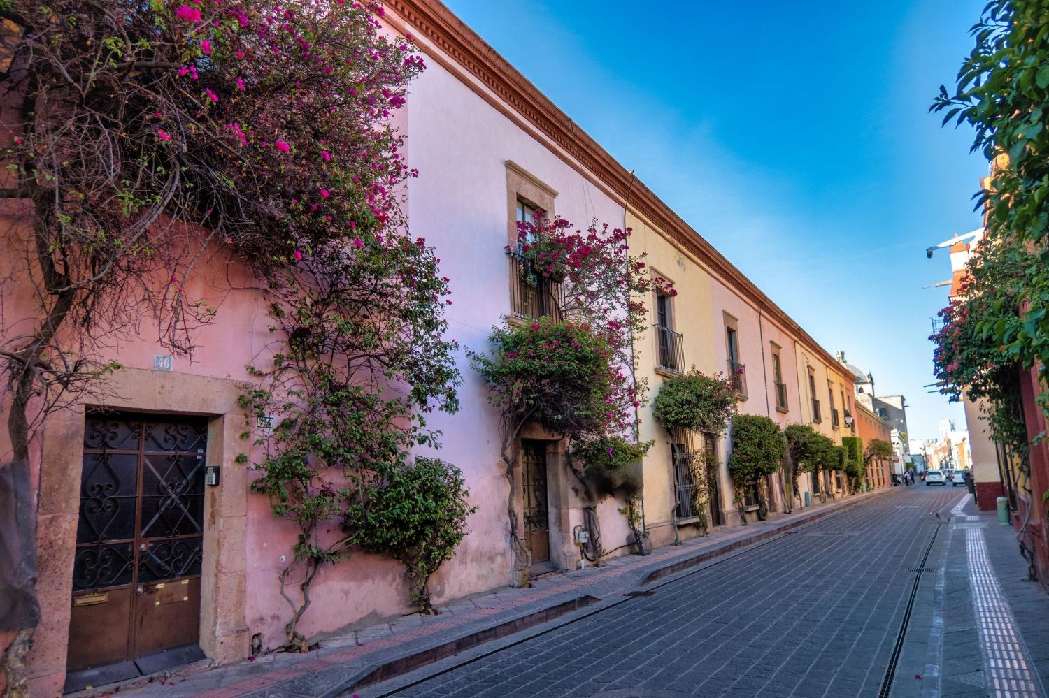 Una estrecha calle adoquinada bordeada de edificios en tonos rosa y blanco. Enredaderas con flores rosas trepan por las paredes.