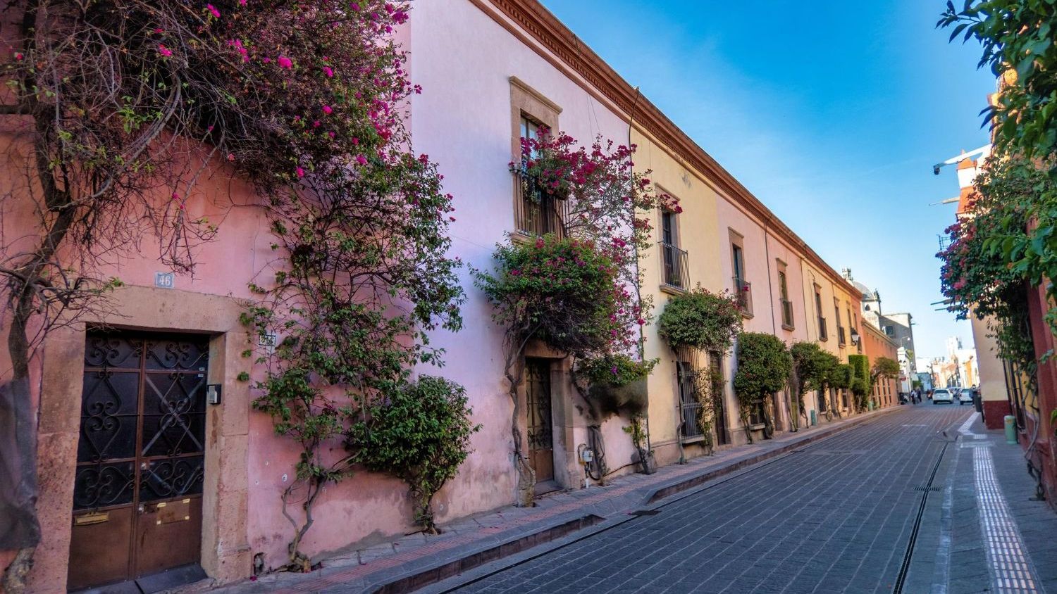 Una calle estrecha en México, bordeada de edificios coloridos adornados con enredaderas en flor.