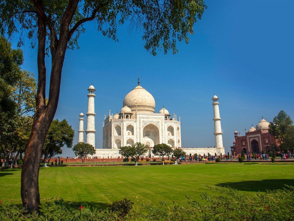 Taj Mahal, un mausoleo de mármol blanco en Agra, India, situado contra un cielo azul claro, rodeado de un césped verde y árboles.