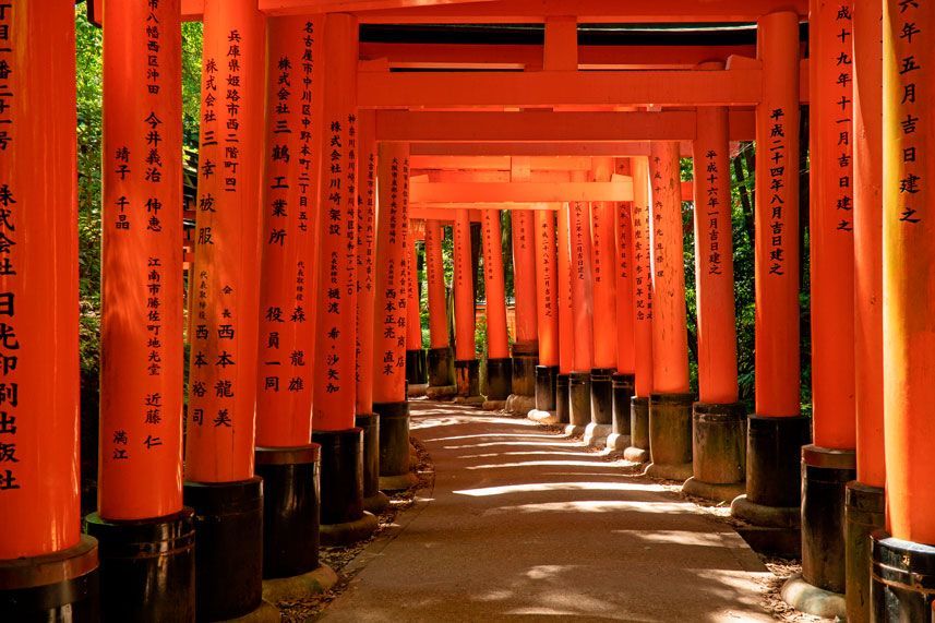 Filas de puertas torii de un vibrante color naranja forman un sendero que atraviesa un santuario japonés. La luz del sol se filtra a través de las puertas.
