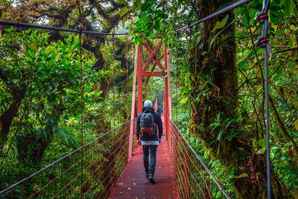Persona caminando sobre un puente colgante rojo a través de una exuberante selva tropical verde, con una mochila puesta.