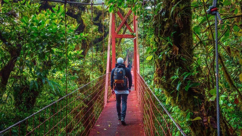 Una persona con mochila camina sobre un puente colgante rojo en una exuberante selva tropical verde.
