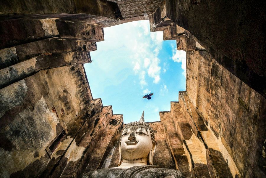 Una estatua gigante de Buda dentro de una estructura de piedra desgastada, enmarcada por el cielo abierto con un pájaro en vuelo.