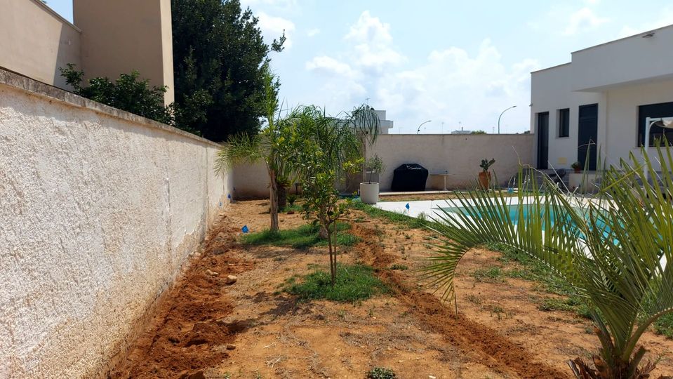 Piccolo giardino interno con giovani alberi, terreno sabbioso e edifici bianchi tutt'intorno.