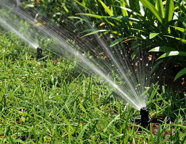 Un irrigatore rotante spruzza acqua su un giardino verde e sugli arbusti.