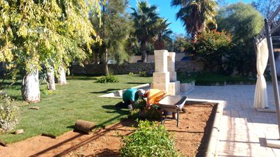 Patio esterno con una persona accovacciata accanto a panchine da giardino, circondata da alberi e luce solare.