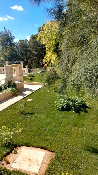 Giardino soleggiato con prato verde, sentiero in pietra e alberi sotto un cielo azzurro