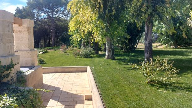 Patio soleggiato con giardino, vialetto in pietra, prato verde, alberi e un muro in pietra sulla sinistra.