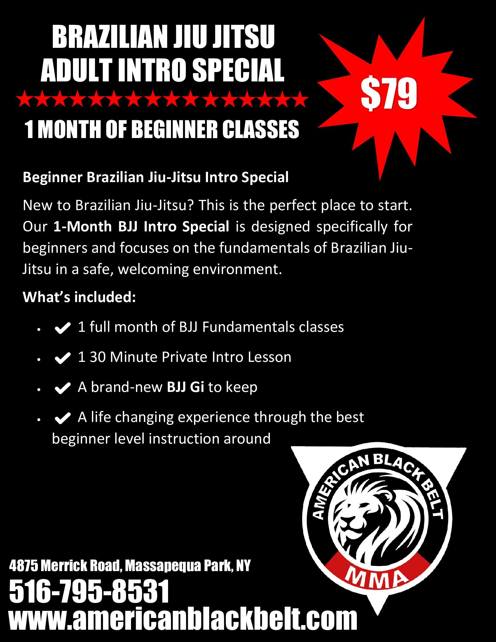 Adult Brazilian Jiu Jitsu Intro Special in Massapequa Park, NY