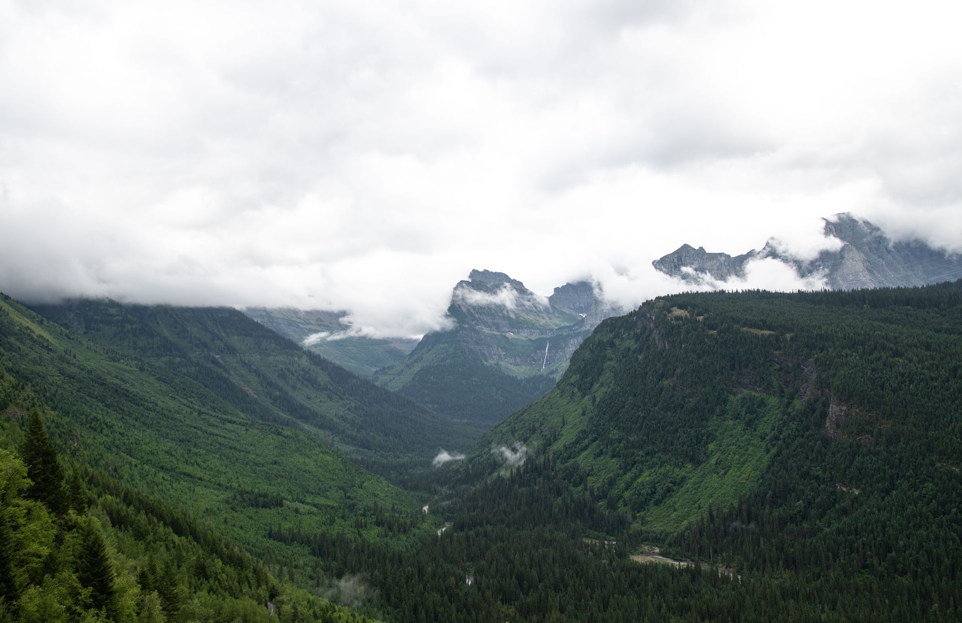 The sweeping green valley of Going-to-the-Sun Road below mist-shrouded mountain peaks in Montana
