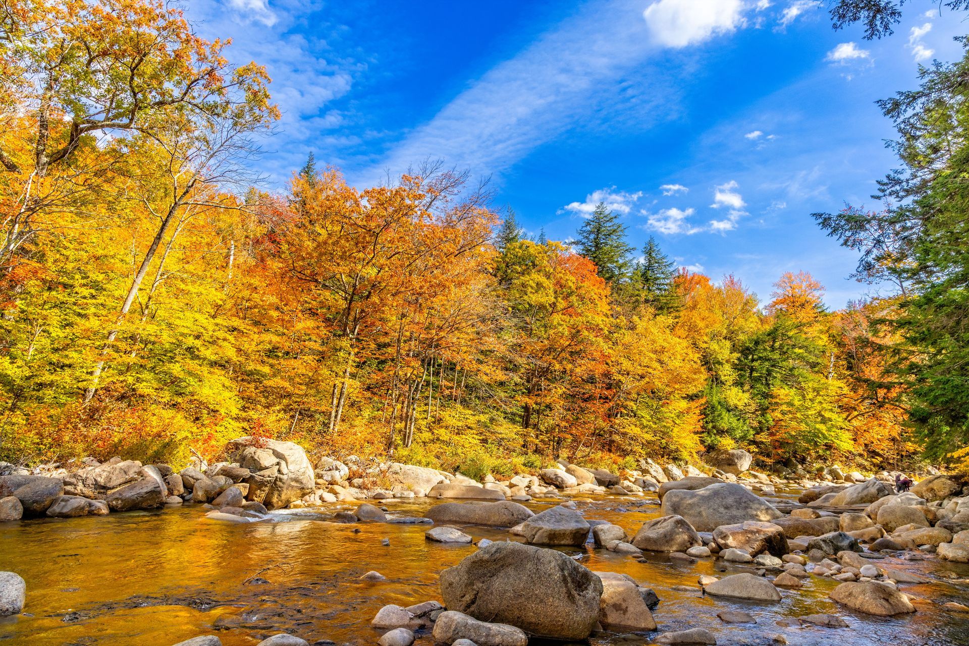 Rocky New Hampshire riverbed framed by vibrant yellow and orange autumn foliage under a bright blue