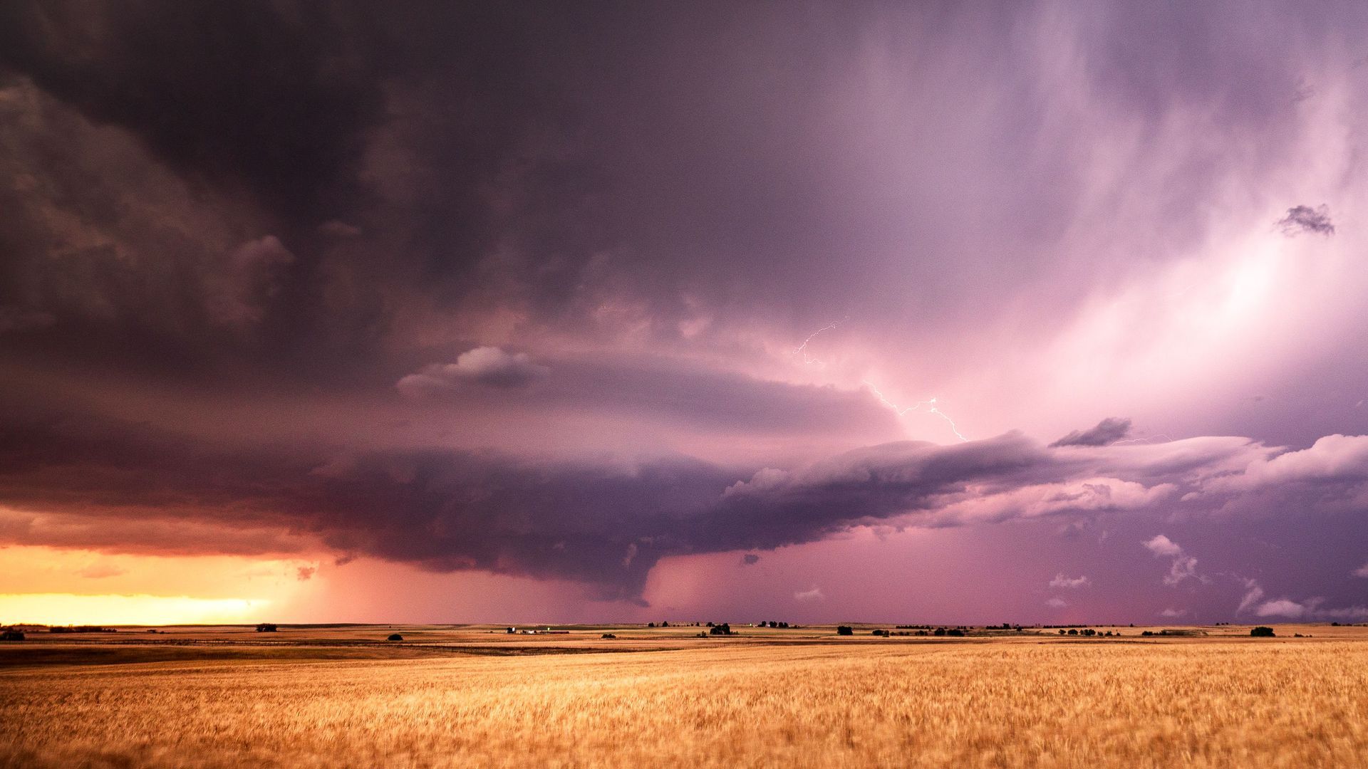 Dramatic purple supercell thunderstorm cloud with lightning over a golden Oklahoma wheat field.