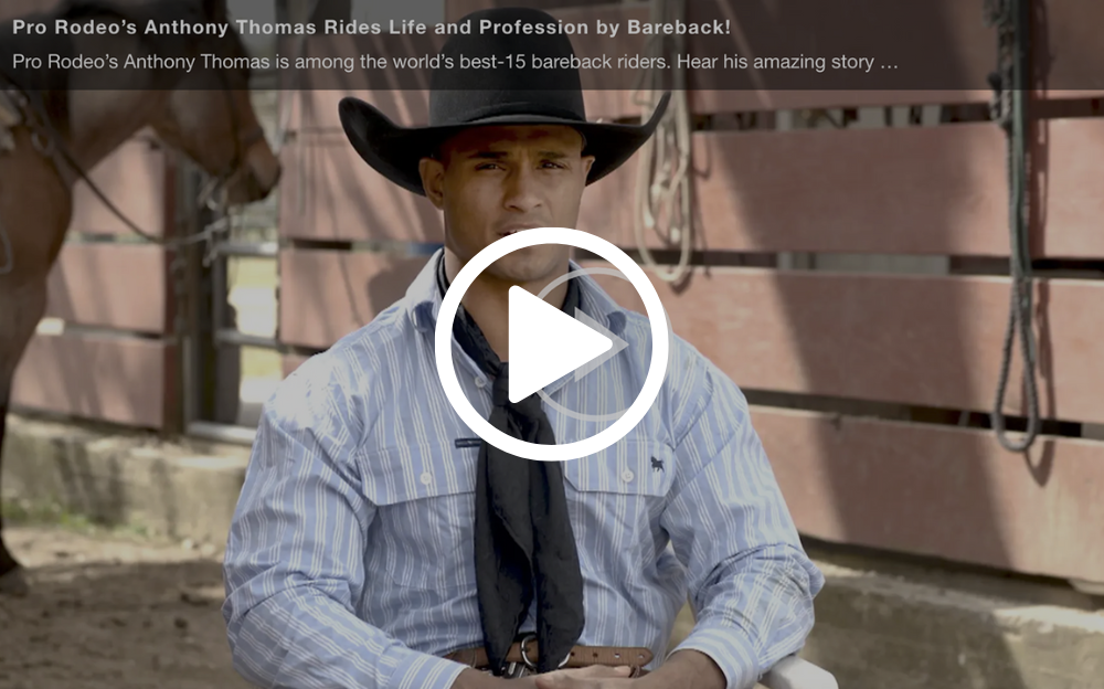 Man in cowboy hat with a horse, likely a rodeo rider.