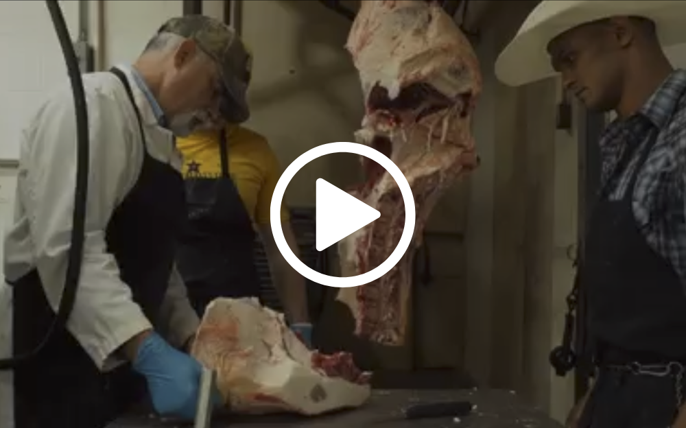 Butchers cutting meat in a processing facility. A side of beef hangs as they work.