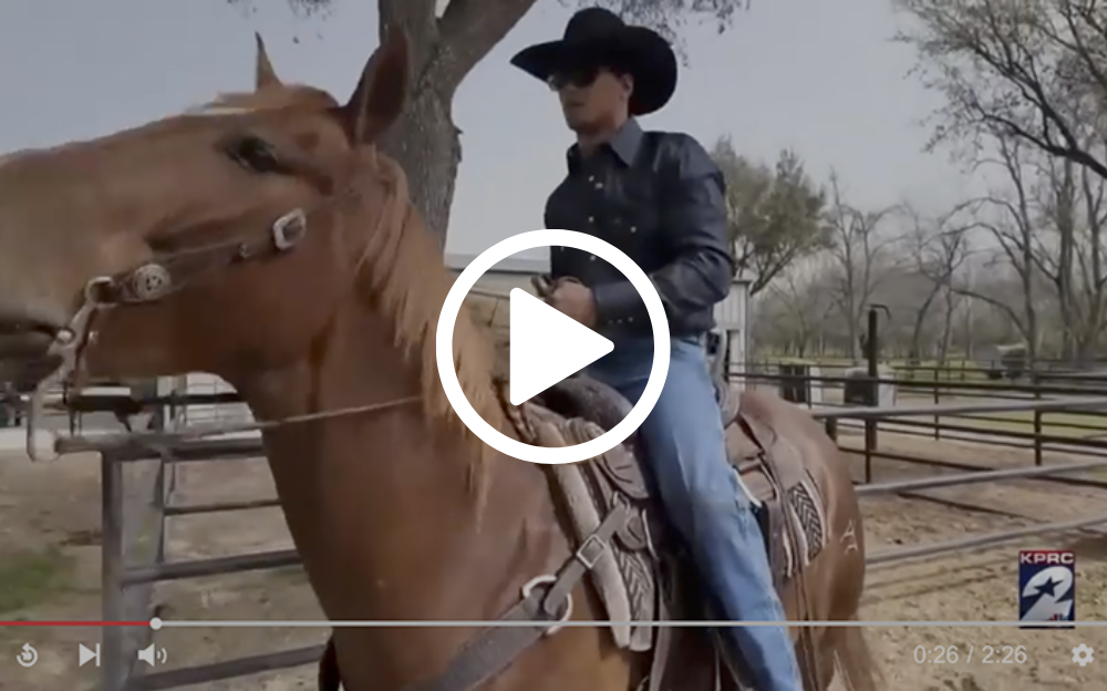 Cowboy on a chestnut horse; rural setting, holding reins.