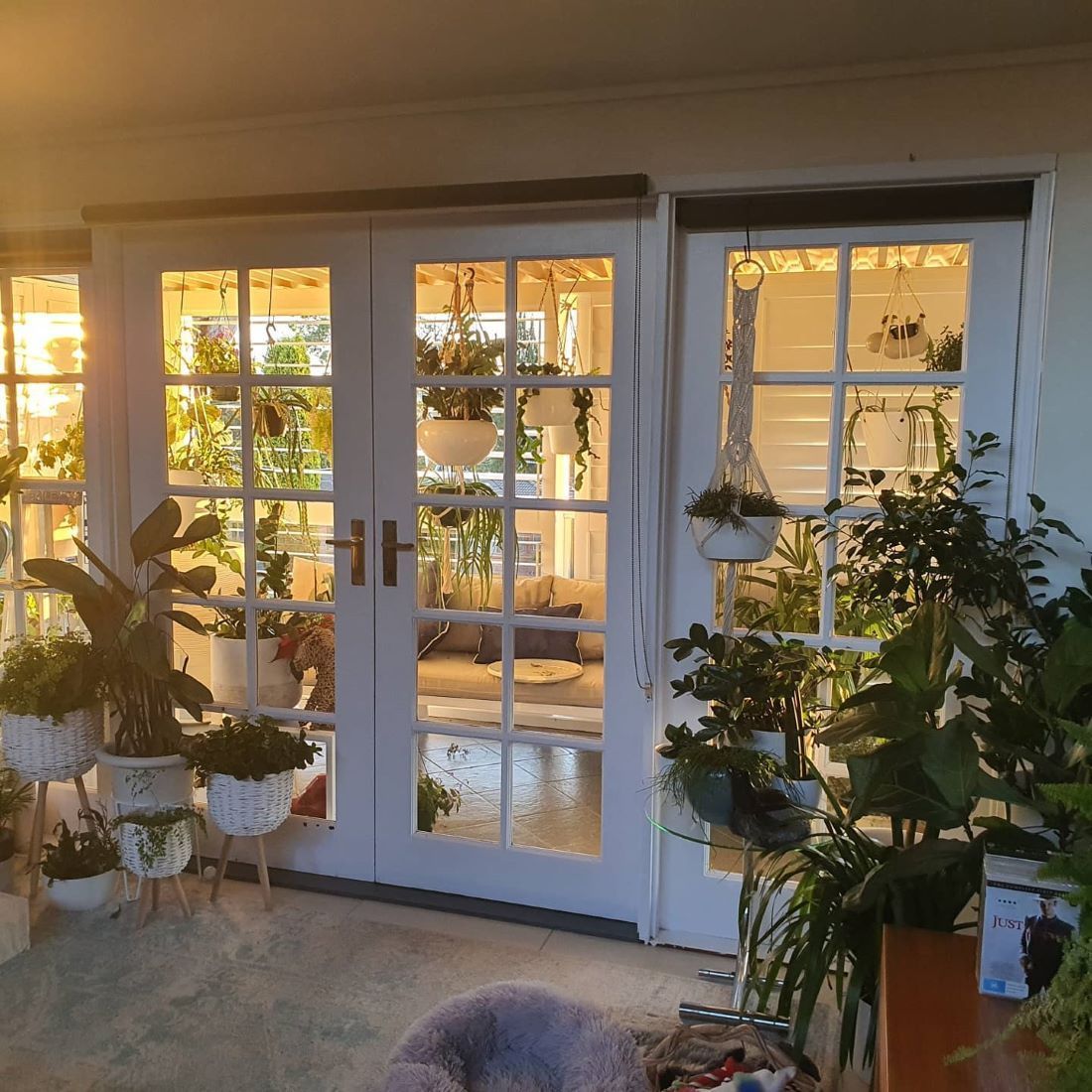 A Living Room With a Lot of Potted Plants and French Doors — Garden Vogue in Charlestown, NSW