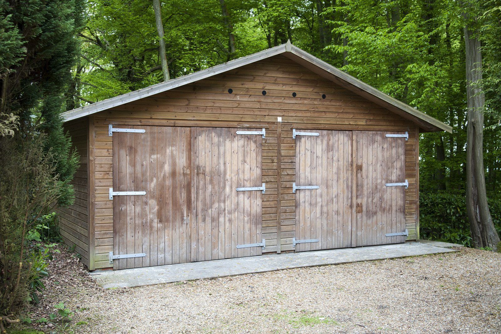 old shed in the woods