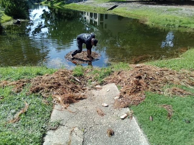 Person kneeling on small island in pond, landscaping debris on bank.