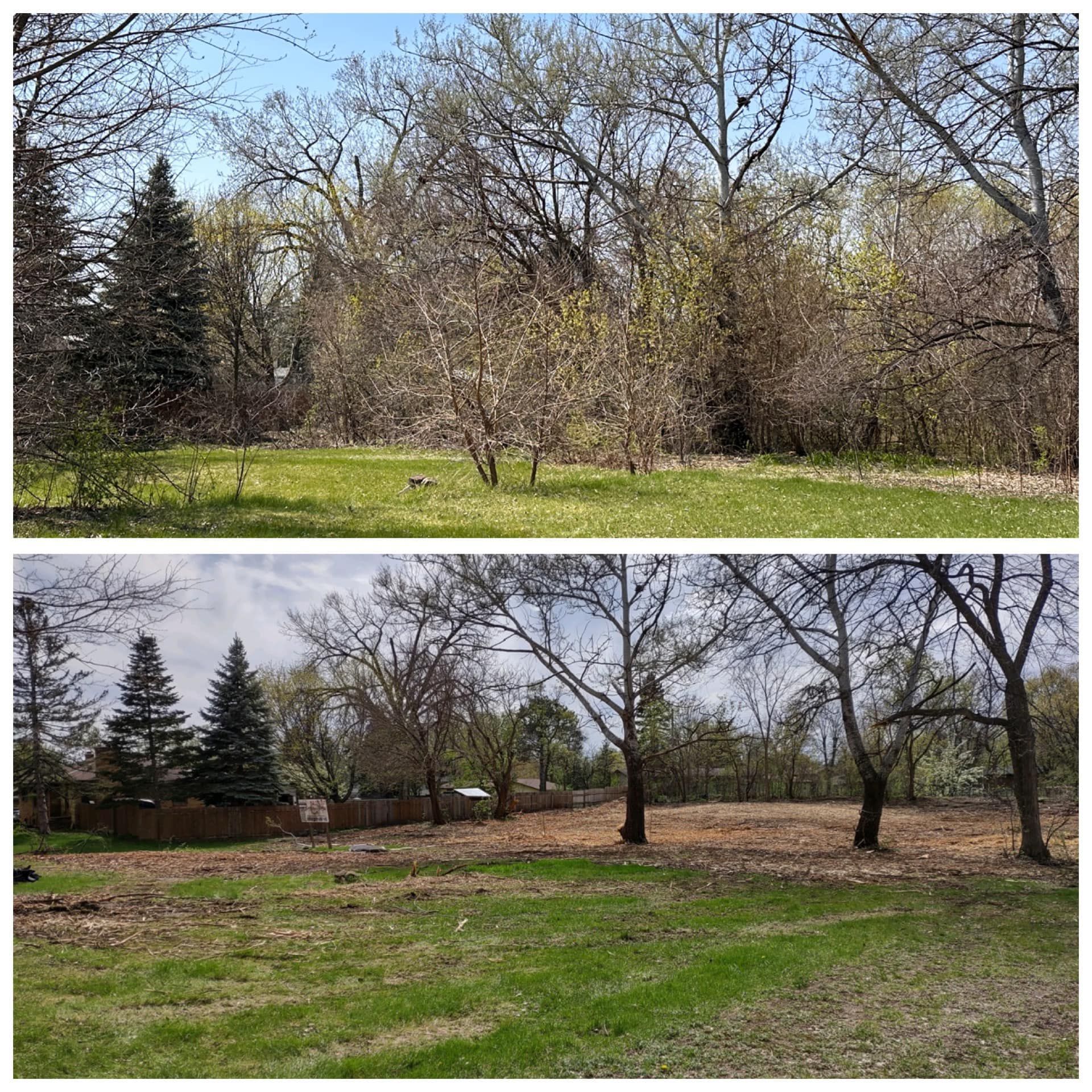 A before and after picture of a field with trees in the background.