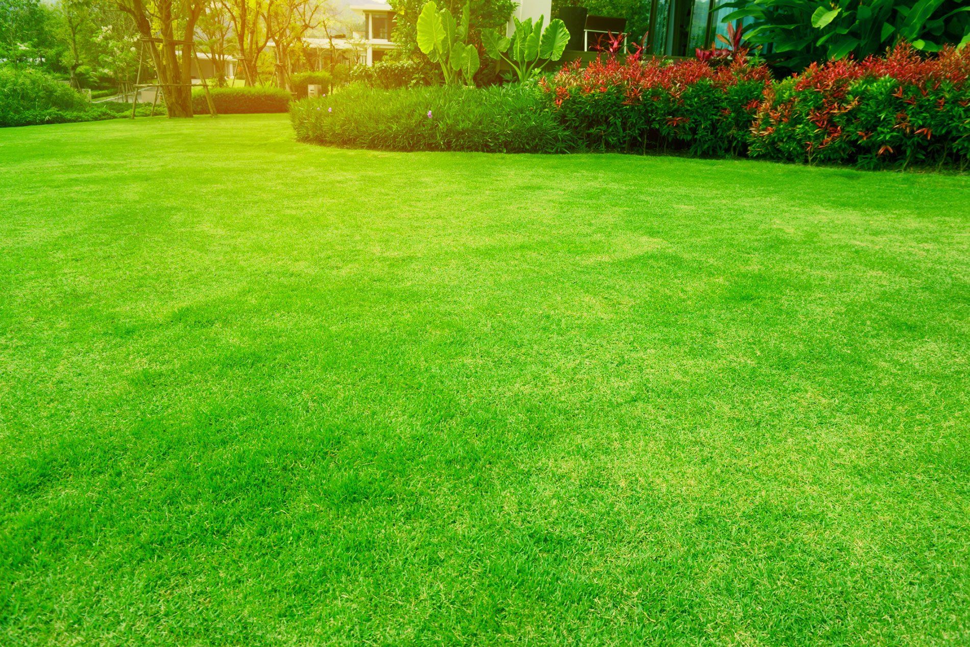 landscape design service
