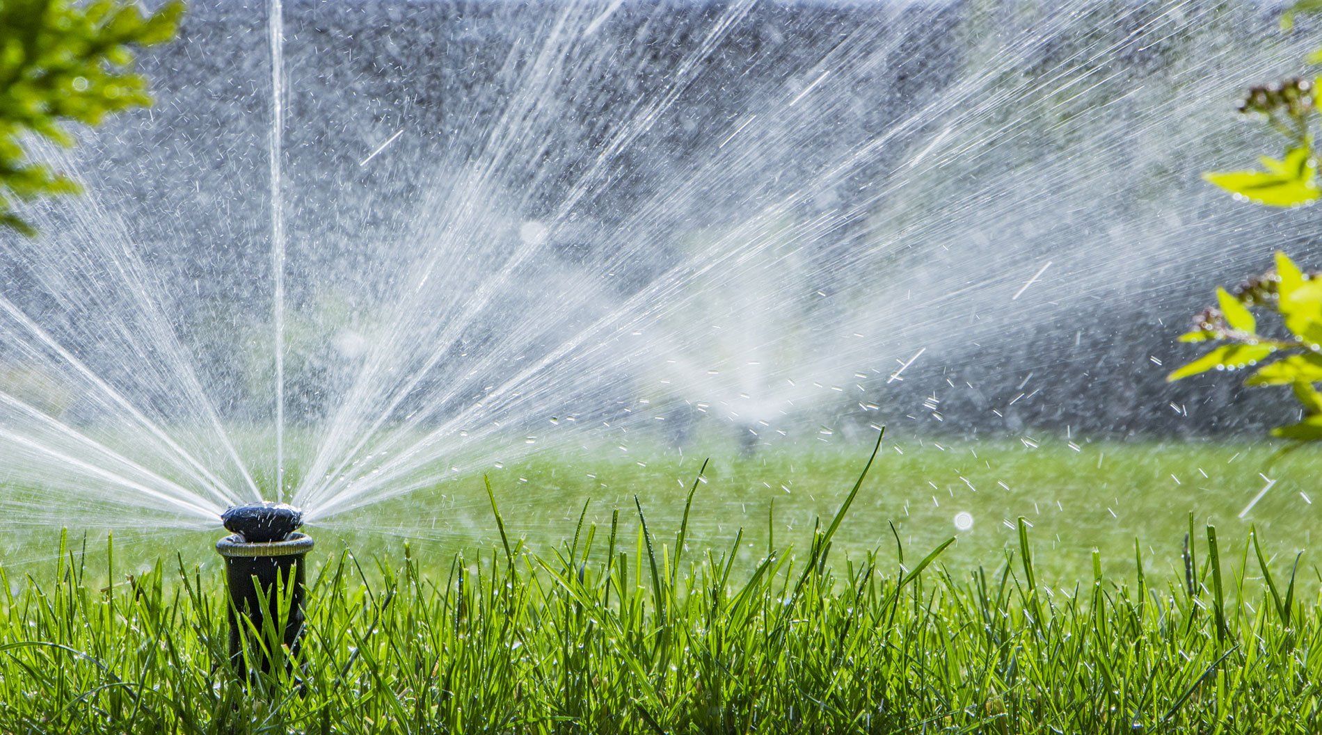 lawn irrigation