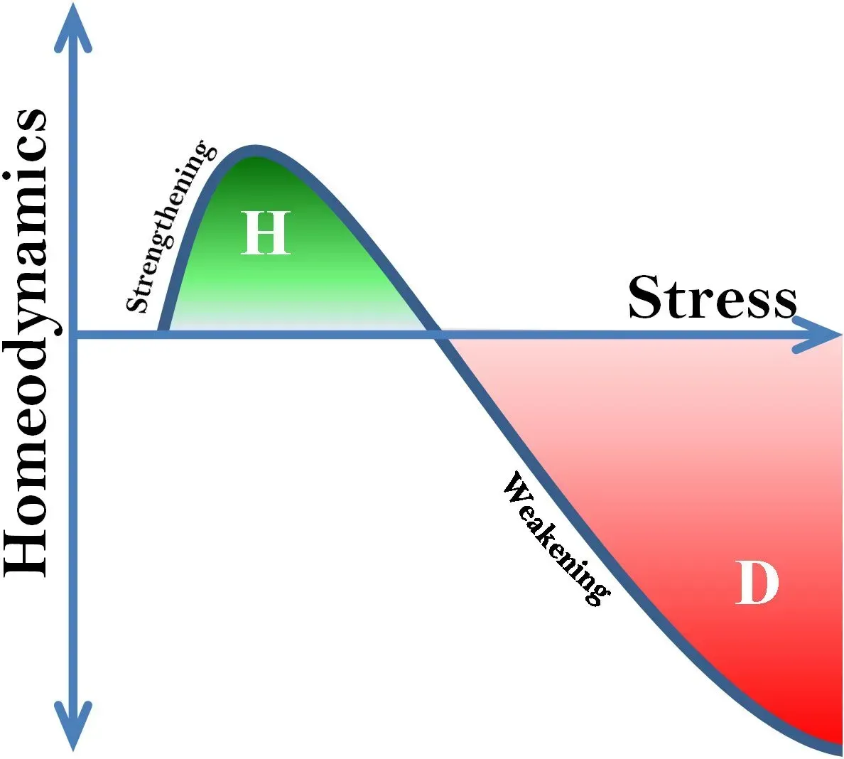 a graph showing the stages of homeodynamics and stress