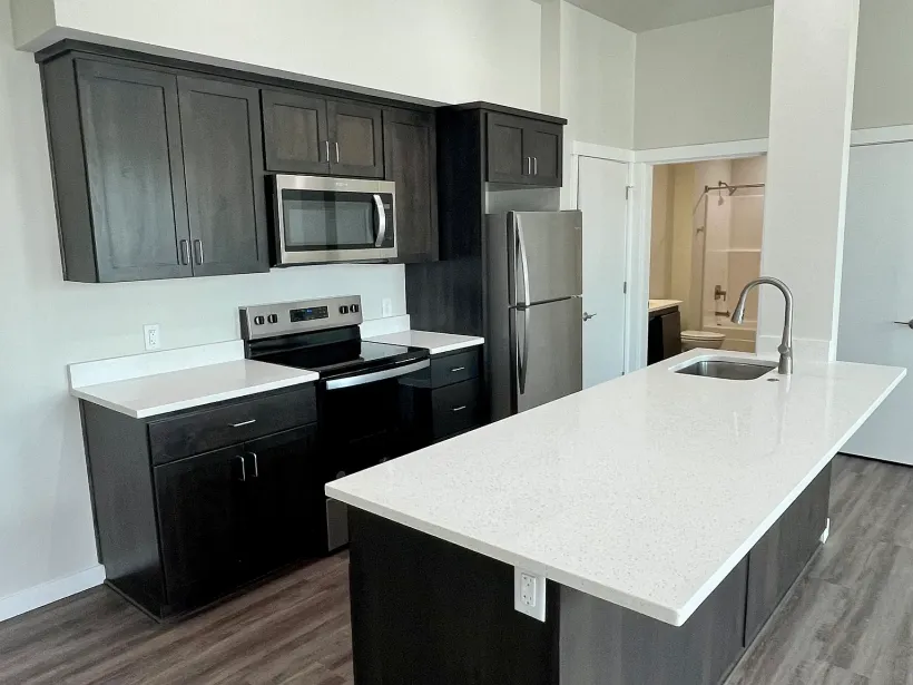 A kitchen with stainless steel appliances and black cabinets