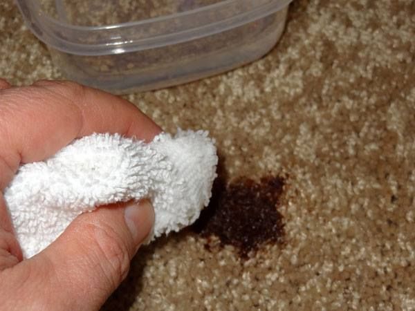 A person is holding a towel over a stain on a carpet.