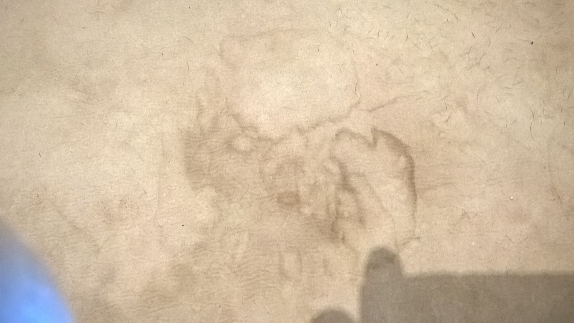 A light-colored carpet featuring a prominent, irregular brownish stain with a dark, blurred shadow in the bottom corner.