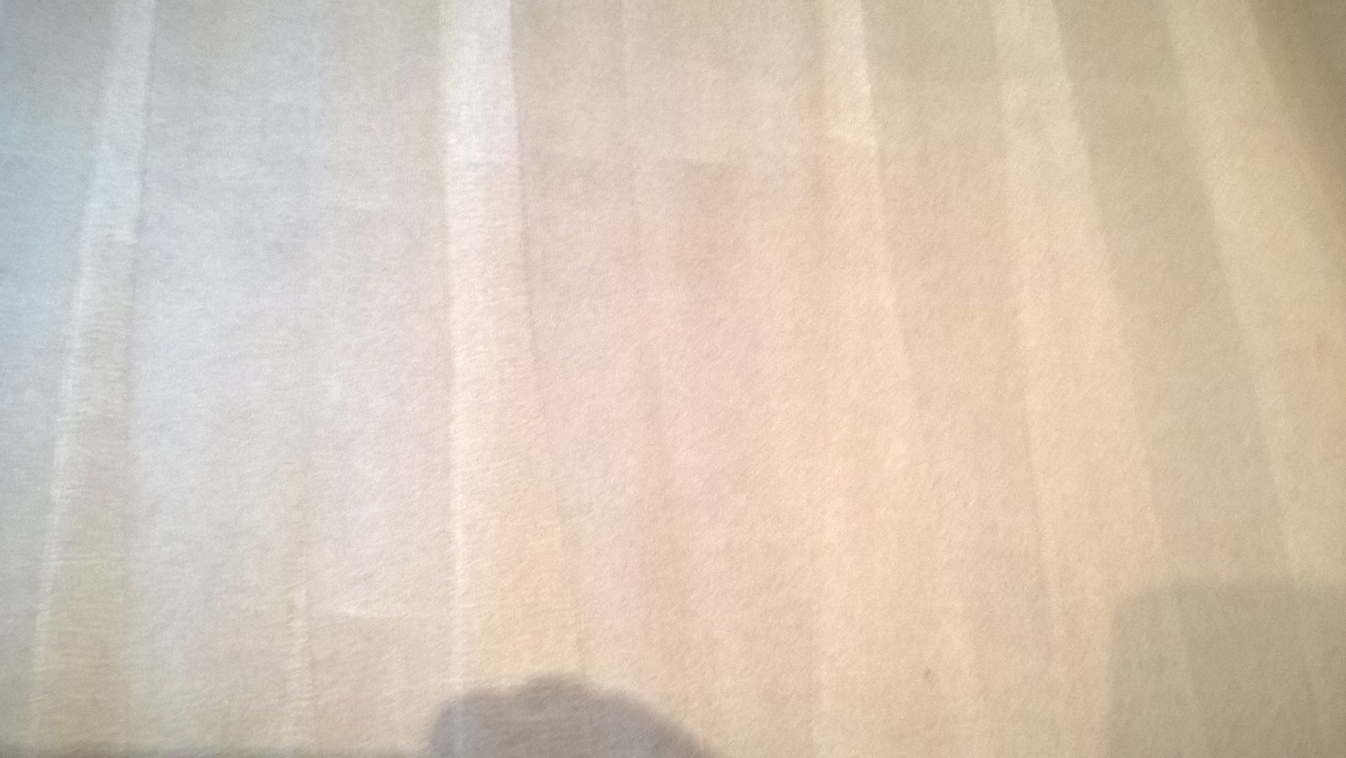 Beige carpet showing distinct, vertical vacuum cleaner tracks across the surface.