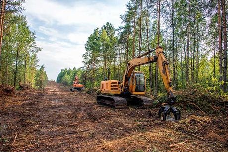 Excavator Grapple during clearing forest for new development. 