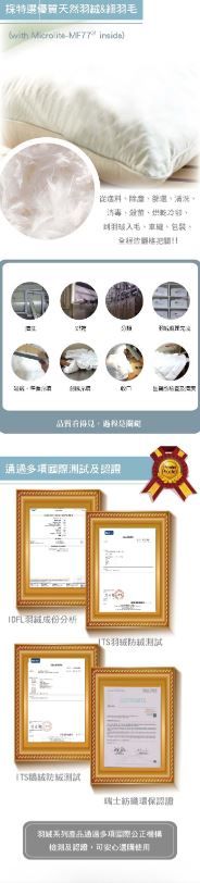 Reedy五星級石墨烯四區式可水洗科技纖維枕(女性與青少年)，標準枕