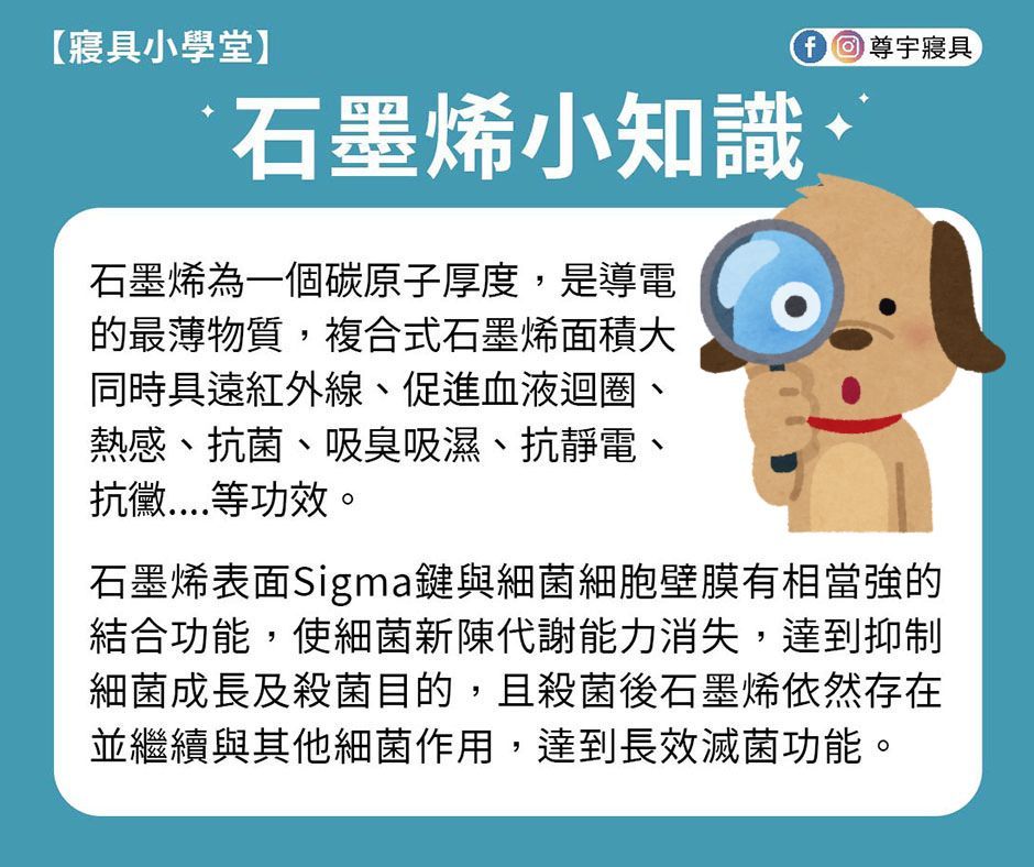 Reedy 五星級石墨烯科技可水洗天然蠶絲四季被，單人尺寸