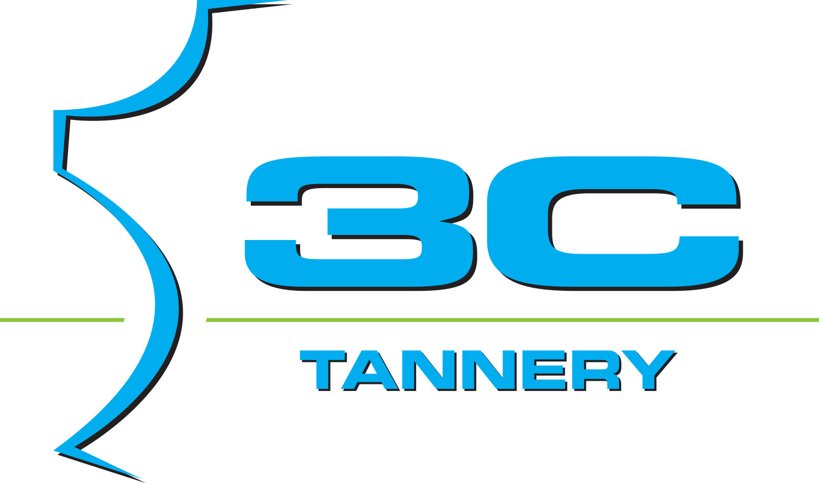 3C LAVORAZIONE PELLI LOGO