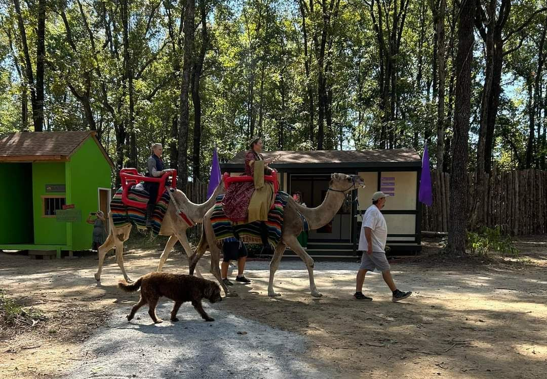 Camels with riders and a dog pass colorful cabins along a wooded path