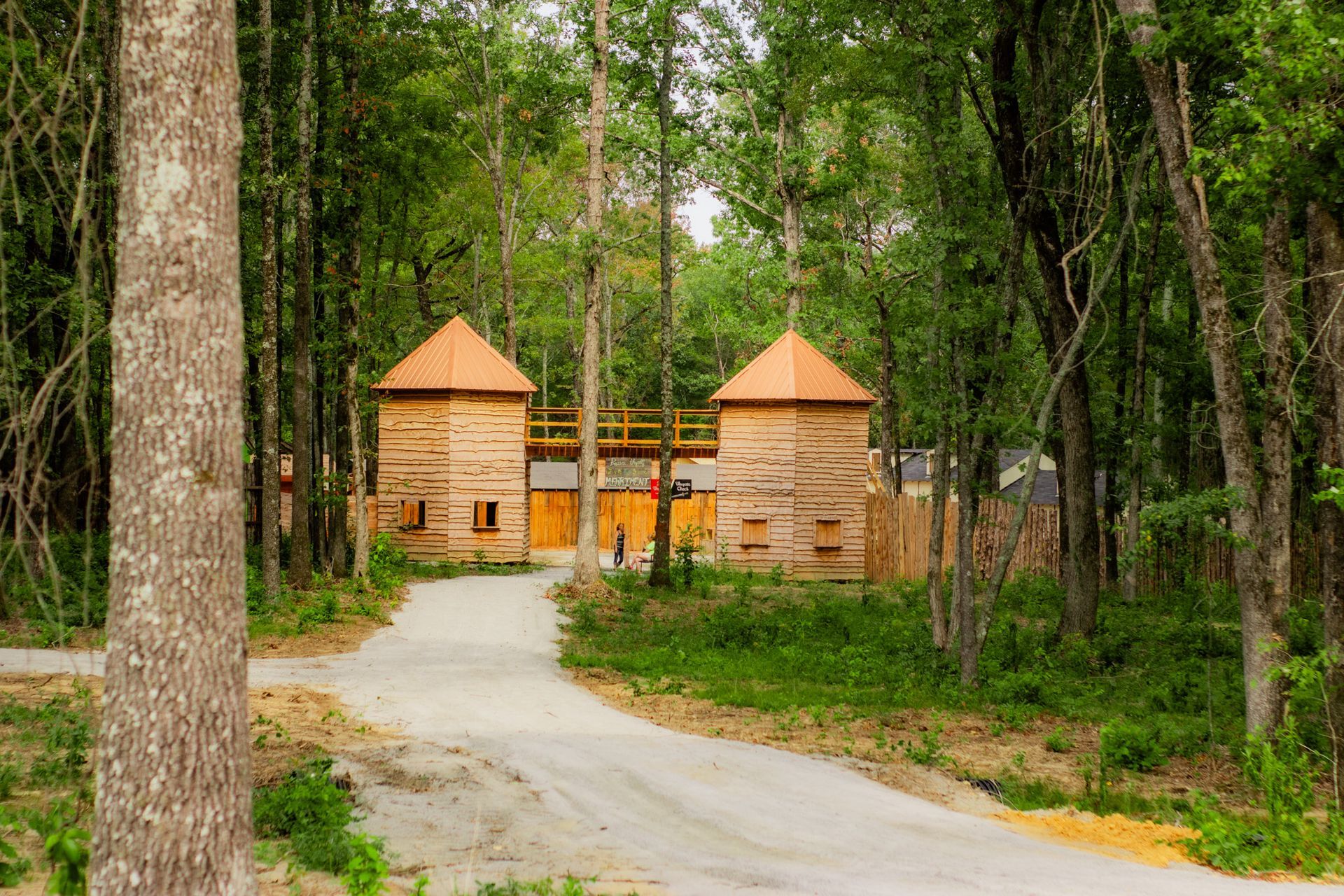 A dirt road leading to a house in the middle of a forest.