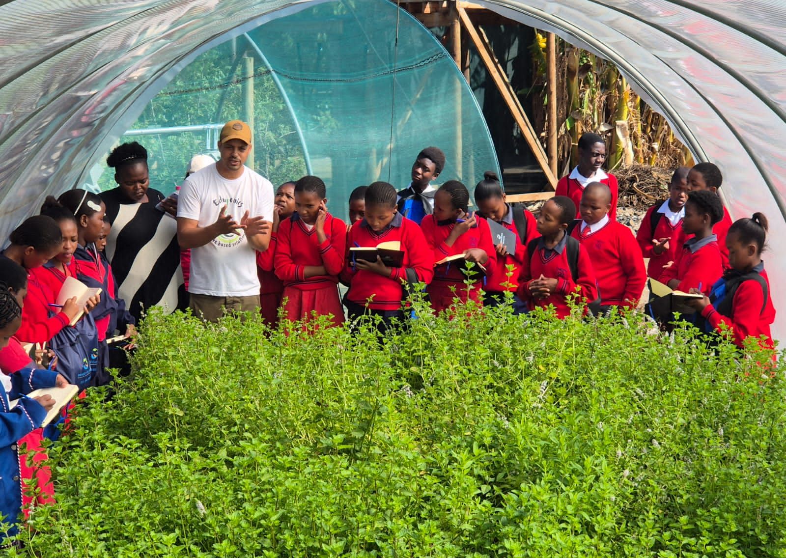 Eduponics aquaponics — climate-smart food growing in schools