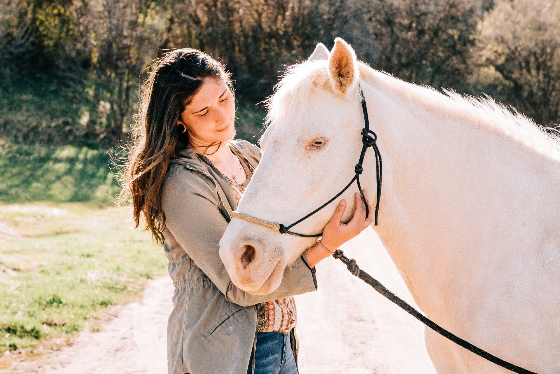 Equine therapy services photos