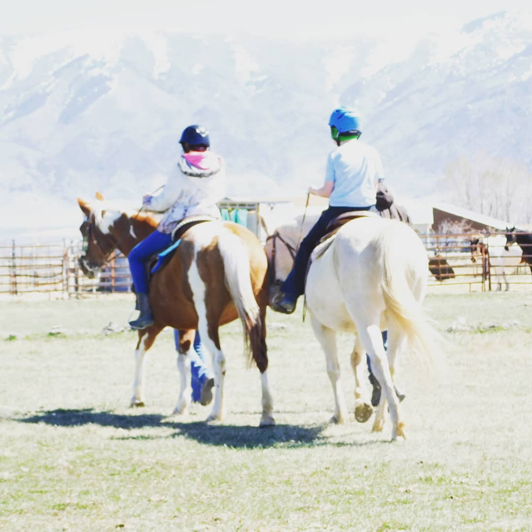 Equine therapy services photos