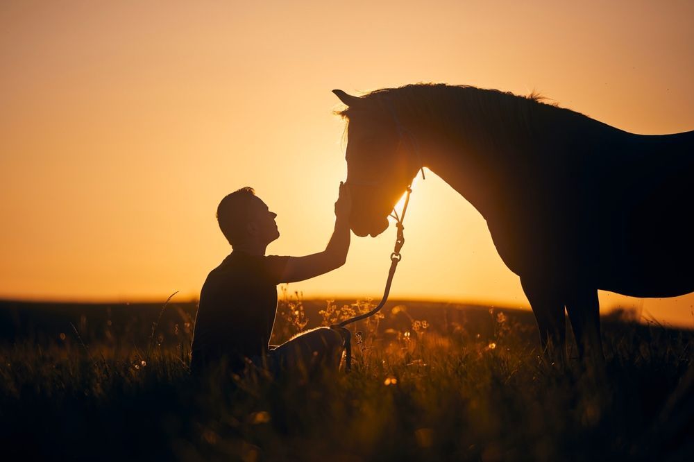 Helping Those In Need With Equine Therapy At Our Utah Ranch