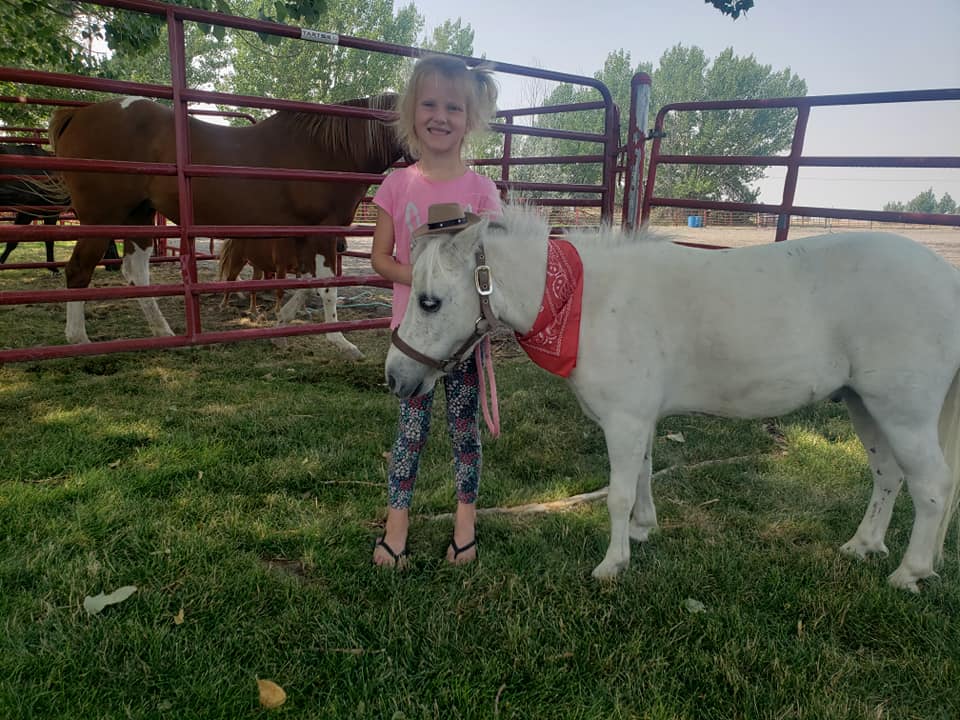 Equine therapy services photos
