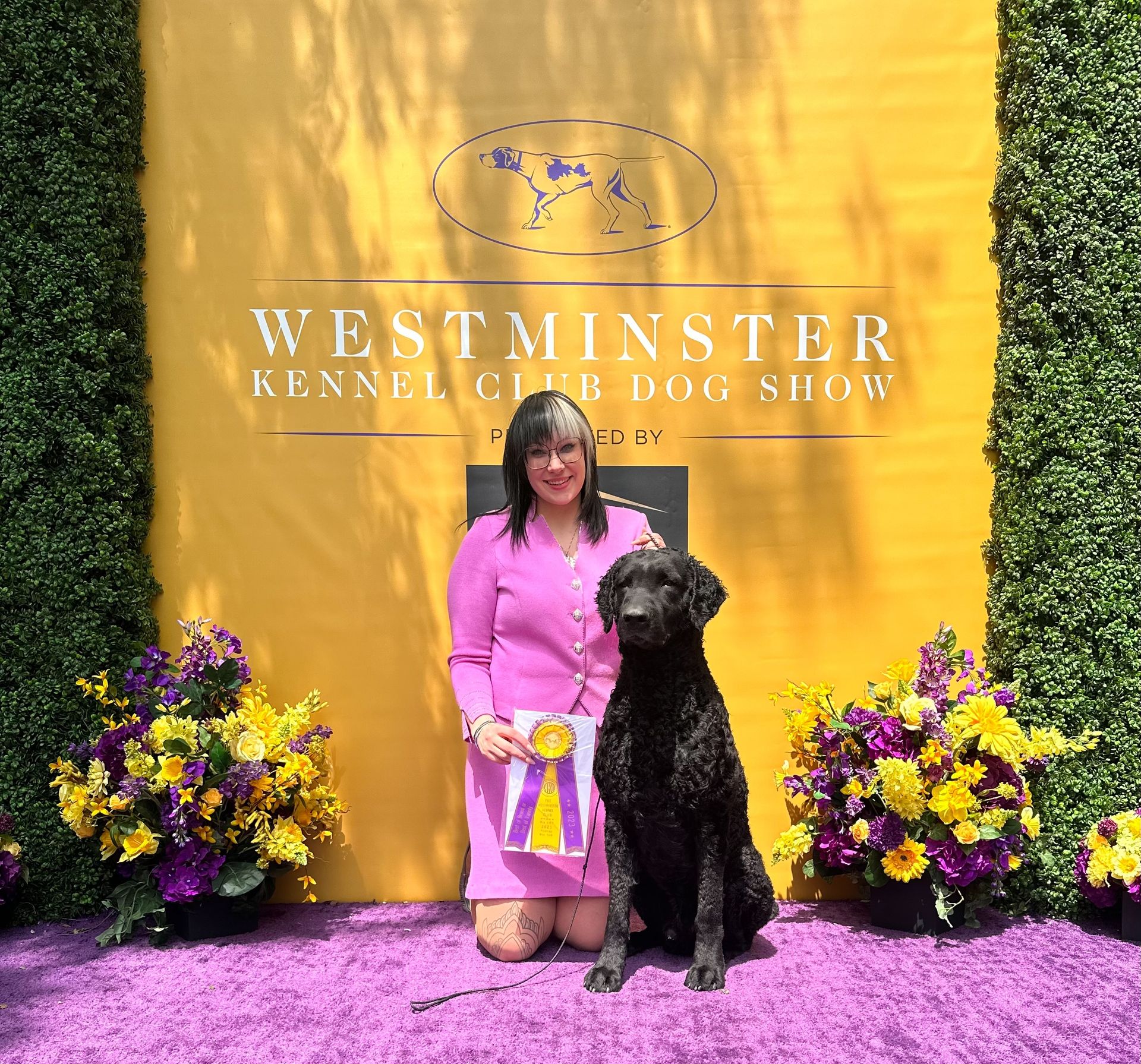 Pet Resort Kenosha, WI Woofman's Lodge