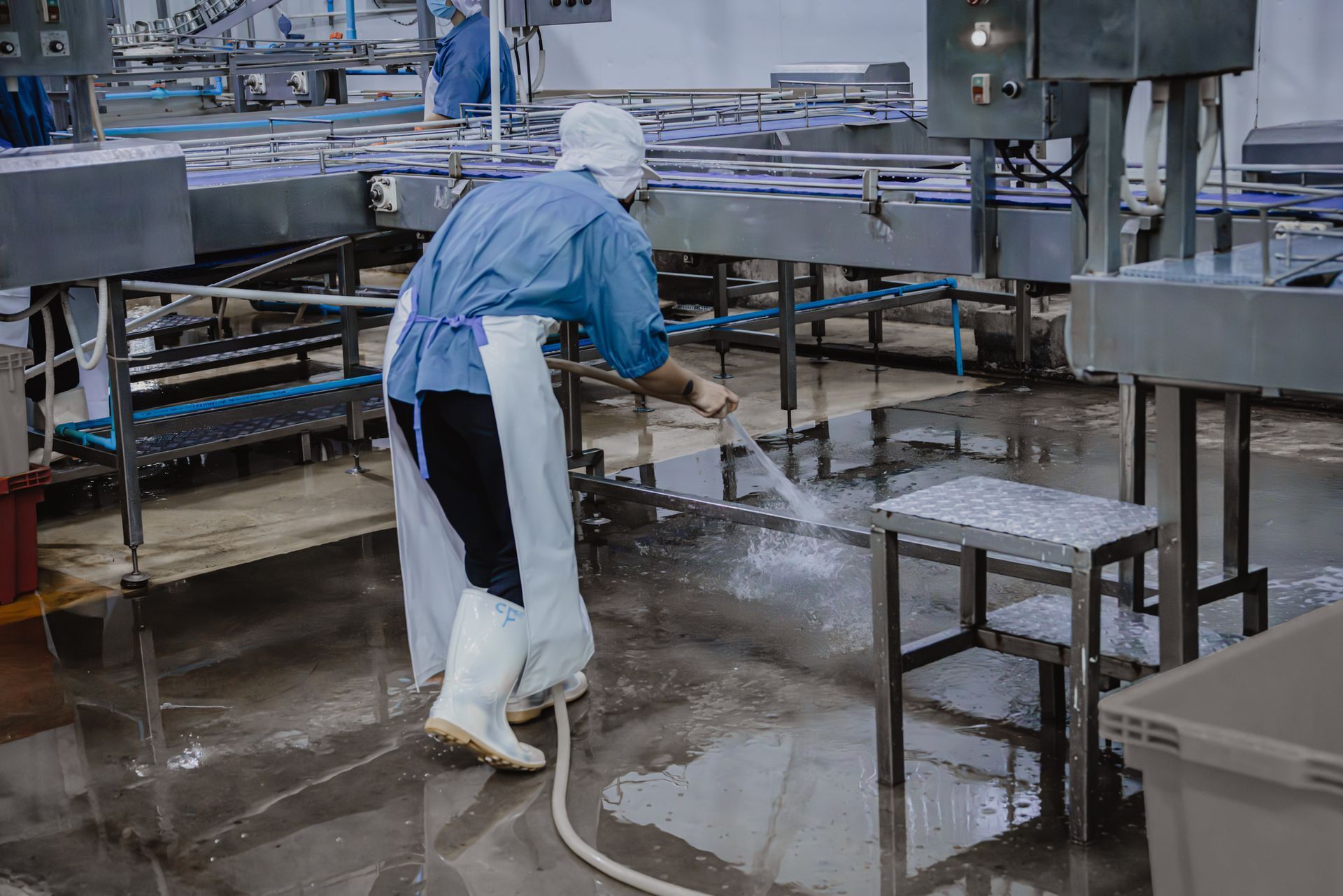 Professional food production sanitation services